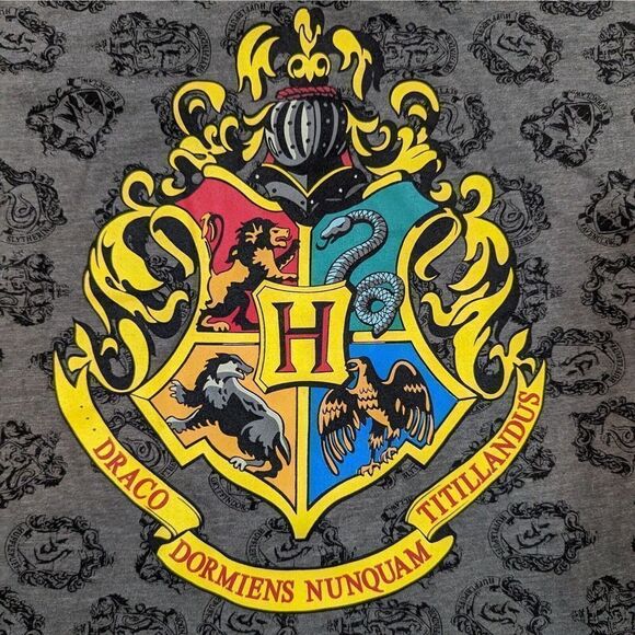 Universal Studios Wizarding World of Harry Potter Night Gown Sleep Shirt Large - Picture 2 of 9